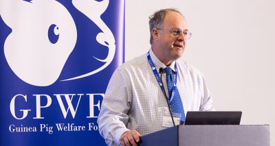 Guinea Pig Welfare Forum to return for third year